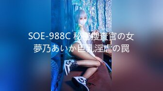 SOE-988C 秘密捜査官の女夢乃あいか巨乳淫虐の罠