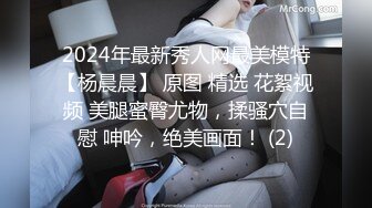 2024年最新秀人网最美模特【杨晨晨】 原图 精选 花絮视频 美腿蜜臀尤物，揉骚穴自慰 呻吟，绝美画面！ (2)