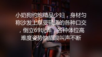 小奶狗约炮精品少妇，身材匀称沙发上享受骚逼的各种口交，倒立69玩弄，各种体位高难度姿势抽插浪叫声不断