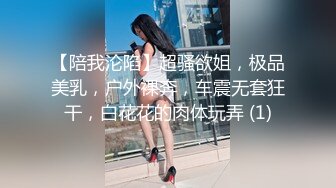 【陪我沦陷】超骚欲姐，极品美乳，户外裸奔，车震无套狂干，白花花的肉体玩弄 (1)