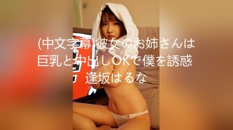 (中文字幕)彼女のお姉さんは巨乳と中出しOKで僕を誘惑 逢坂はるな