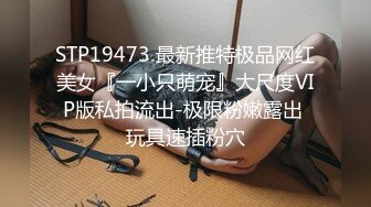 STP19473 最新推特极品网红美女『一小只萌宠』大尺度VIP版私拍流出-极限粉嫩露出 玩具速插粉穴