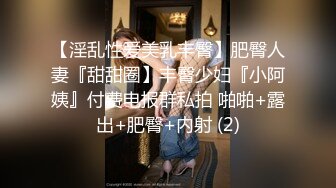 【淫乱性爱美乳丰臀】肥臀人妻『甜甜圈】丰臀少妇『小阿姨』付费电报群私拍 啪啪+露出+肥臀+内射 (2)