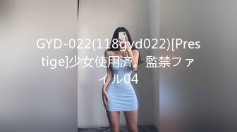 GYD-022(118gyd022)[Prestige]少女使用済。監禁ファイル04