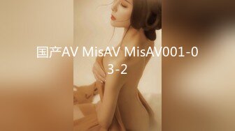 国产AV MisAV MisAV001-03-2