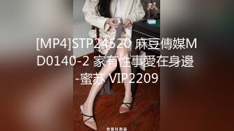 [MP4]STP24520 麻豆傳媒MD0140-2 家有性事愛在身邊 -蜜苏 VIP2209