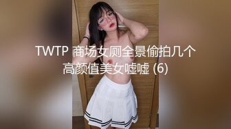 TWTP 商场女厕全景偷拍几个高颜值美女嘘嘘 (6)