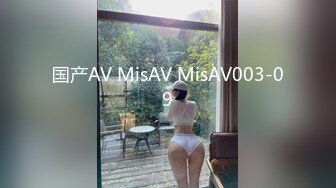 国产AV MisAV MisAV003-09