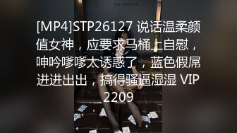 [MP4]STP26127 说话温柔颜值女神，应要求马桶上自慰，呻吟嗲嗲太诱惑了，蓝色假屌进进出出，搞得骚逼湿湿 VIP2209