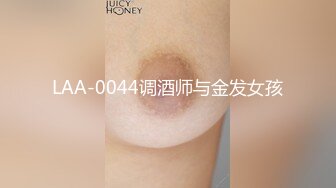 LAA-0044调酒师与金发女孩