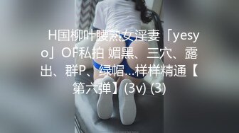 ✨H国柳叶腰熟女淫妻「yesyo」OF私拍 媚黑、三穴、露出、群P、绿帽…样样精通【第六弹】(3v) (3)