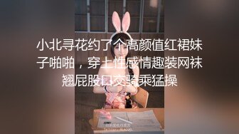 小北寻花约了个高颜值红裙妹子啪啪，穿上性感情趣装网袜翘屁股口交骑乘猛操