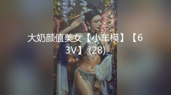 大奶颜值美女【小车模】【63V】 (28)