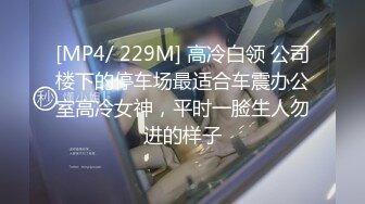 [MP4/ 229M] 高冷白领 公司楼下的停车场最适合车震办公室高冷女神，平时一脸生人勿进的样子