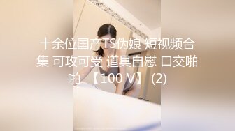 十余位国产TS伪娘 短视频合集 可攻可受 道具自慰 口交啪啪  【100 V】 (2)