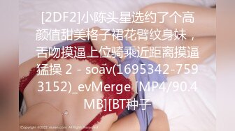 [2DF2]小陈头星选约了个高颜值甜美格子裙花臂纹身妹，舌吻摸逼上位骑乘近距离摸逼猛操 2 - soav(1695342-7593152)_evMerge [MP4/90.4MB][BT种子