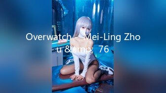 Overwatch -  Mei-Ling Zhou &amp;  76