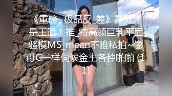 《重磅☛极品反_差》露脸才是王道！推_特高颜巨乳平面骚模MS_mean不雅私拍~像母G一样伺候金主各种啪啪 (11)