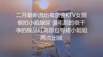 二月最新流出夜总会KTV女厕偷拍小姐尿尿 逼毛刮的很干净的极品红高跟包臀裙小姐姐两次出镜